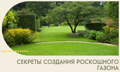 Секреты создания роскошного газона в Азнакаеве