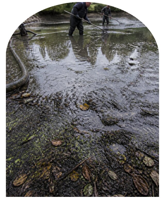 Очистка пруда в Азнакаеве от ила мусора и водорослей с вывозом